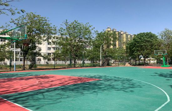 石家莊華師經(jīng)濟(jì)管理學(xué)校籃球