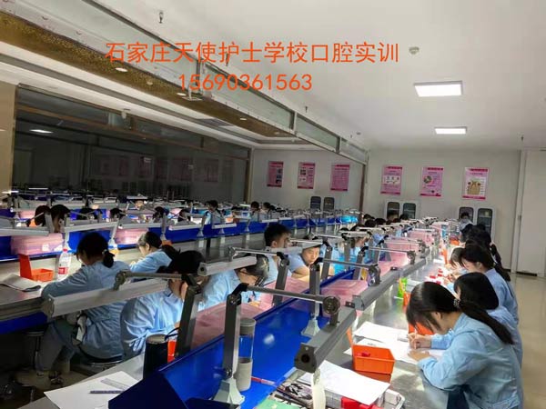 石家莊天使護(hù)士學(xué)校2022年春季招生簡(jiǎn)章 圖2