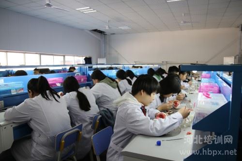 石家莊白求恩醫(yī)學院口腔修復實訓課