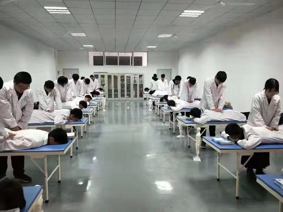 石家莊白求恩醫(yī)學院中醫(yī)康復保健實訓課